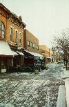 100blkLinden
